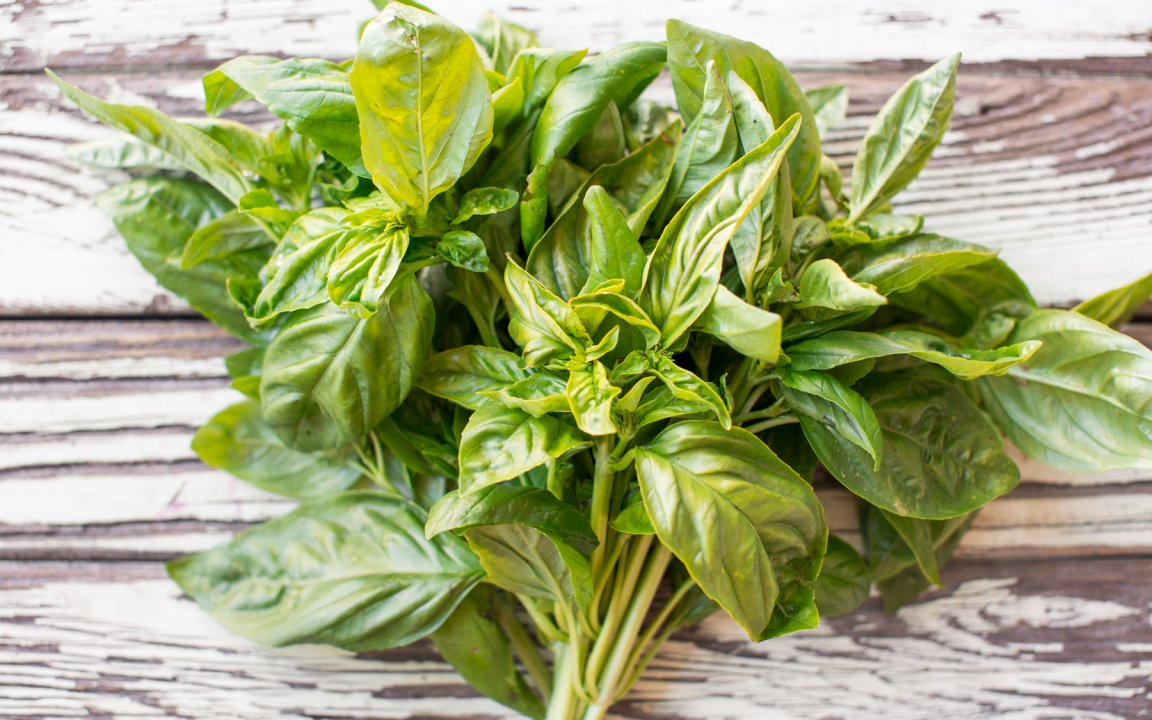 Organic Basil (Mexico) From Our Farmers SF Bay Good Eggs